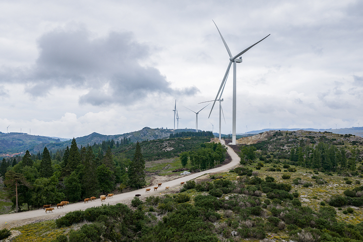 Iberdrola wind farm.