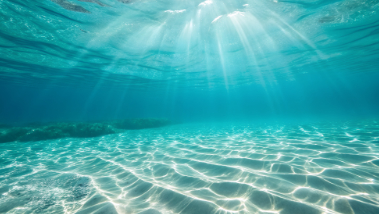World Oceans Day, the importance of protecting 70 % of our planet