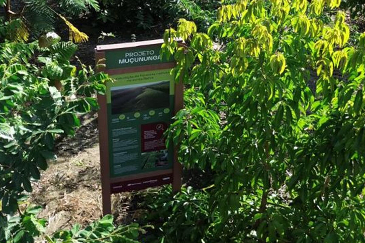 Iberdrola advances Atlantic Forest restoration in Brazil through Neoenergia and Carbon2Nature