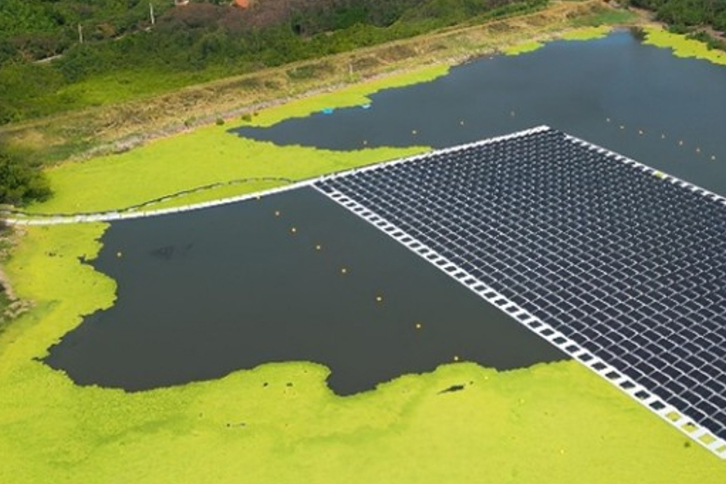 Neoenergia é única empresa de energia brasileira reconhecida como líder em sustentabilidade de marca, segundo a Kantar
