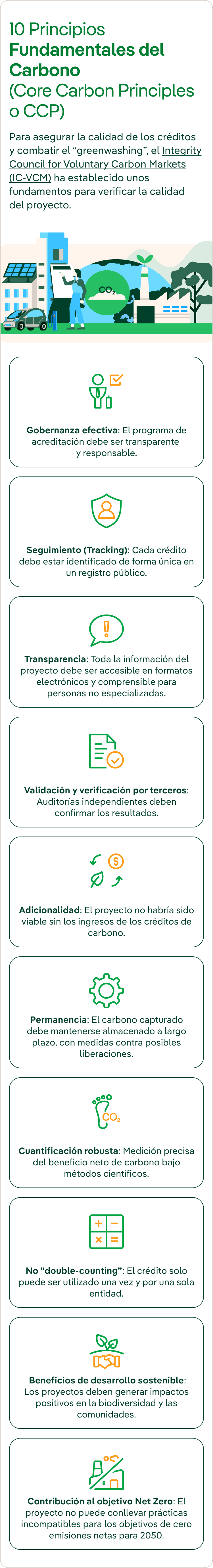 Infografía explicativa de los 10 principios fundamentales del carbono