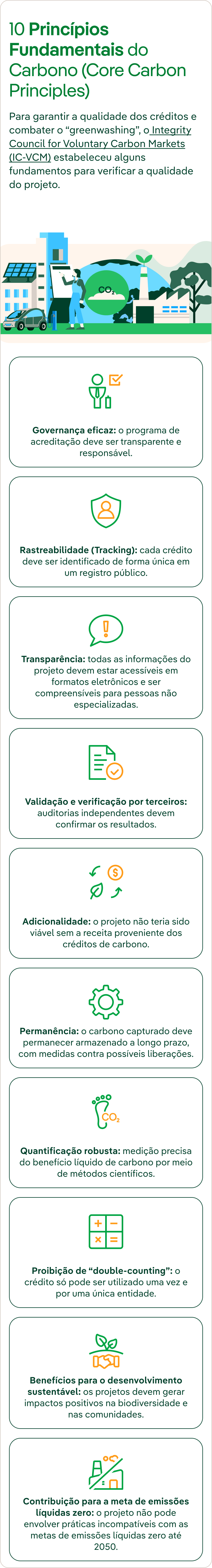 Infográfico 10 princípios fundamentais do carbono