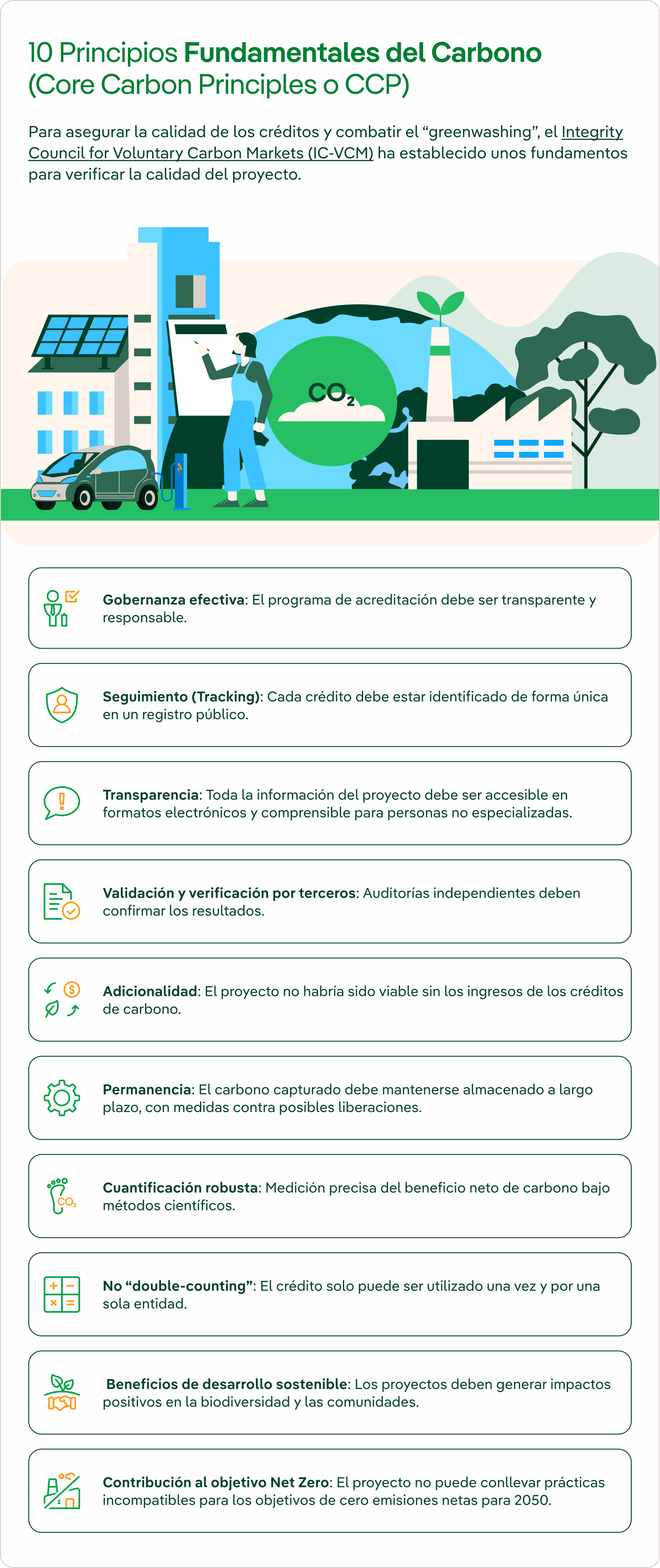 Infografía explicativa de los 10 principios fundamentales del carbono