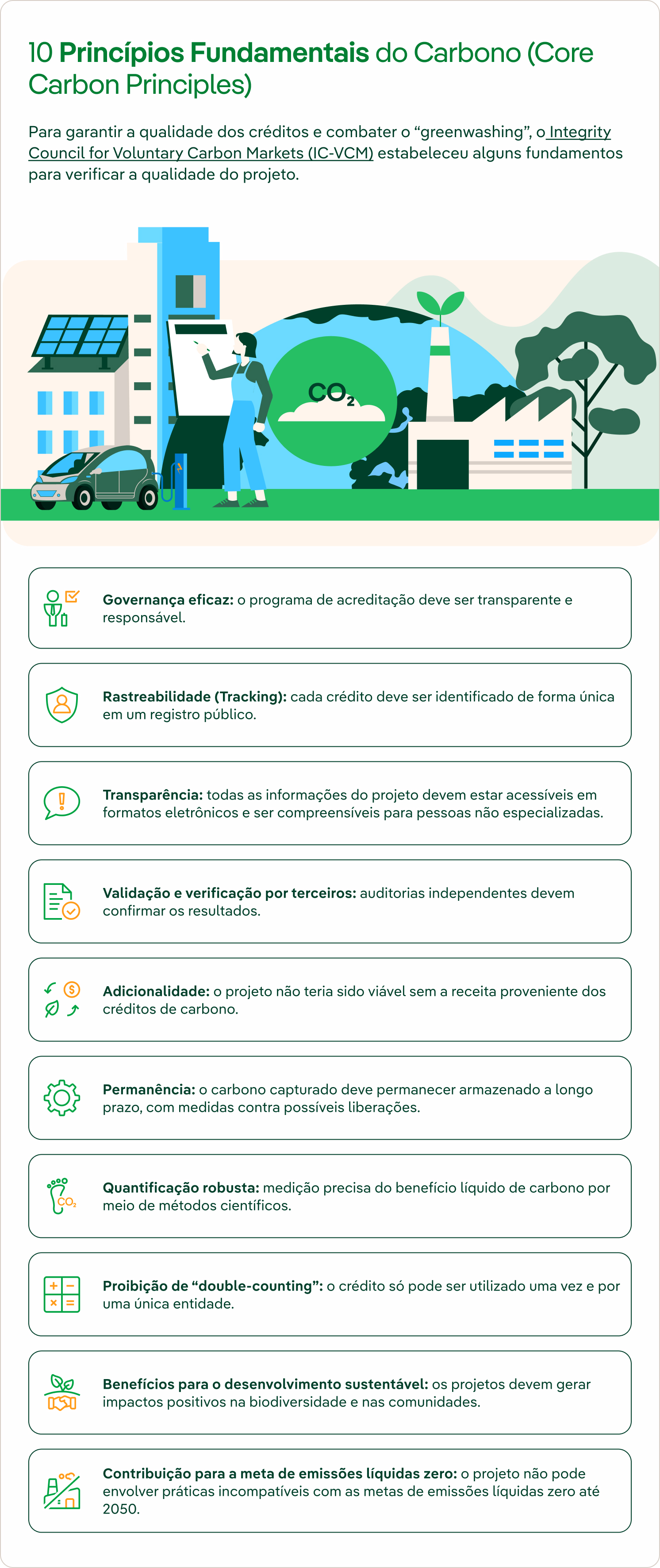 Infográfico 10 princípios fundamentais do carbono