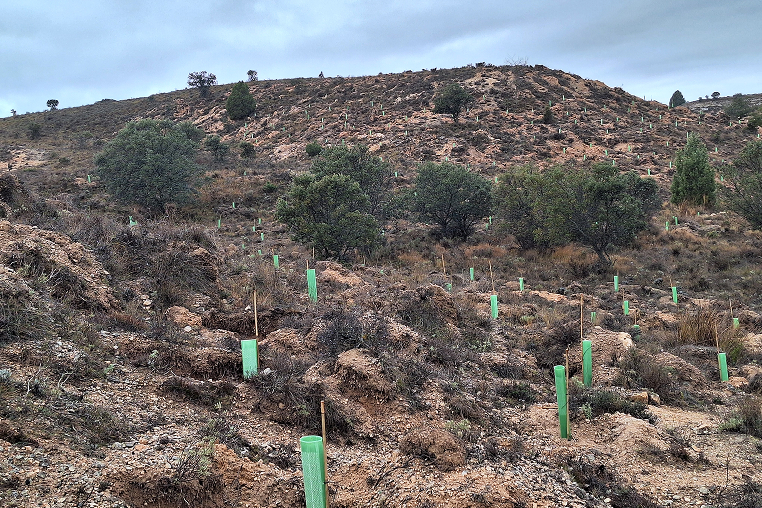 San Esteban de Gormaz Carbon2Nature