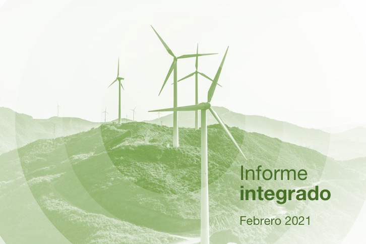 Integrated Report, February 2021