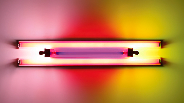 Dan Flavin