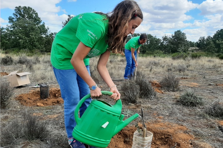 Semana Internacional do Voluntariado 2021.