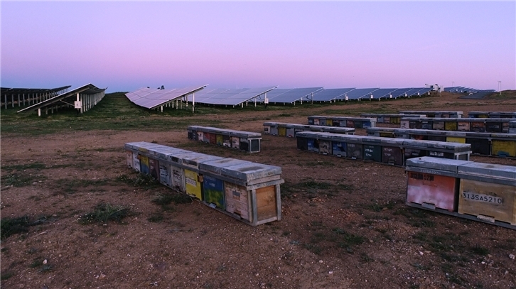 Instalación de colmenas en la planta fotovoltaica de Andévalo (Huelva)