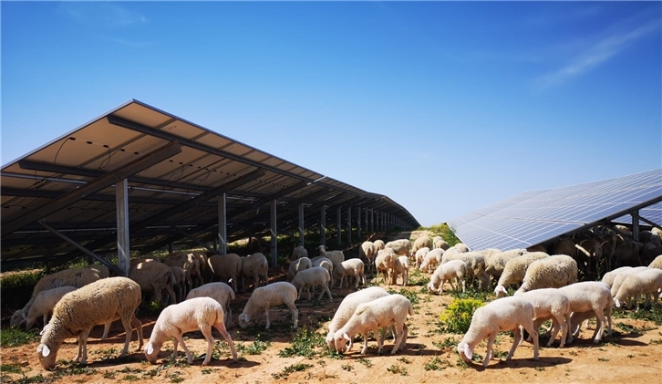 Planta fotovoltaica de Iberdrola en Teruel