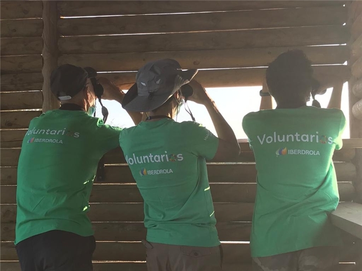 Día Internacional del Voluntariado