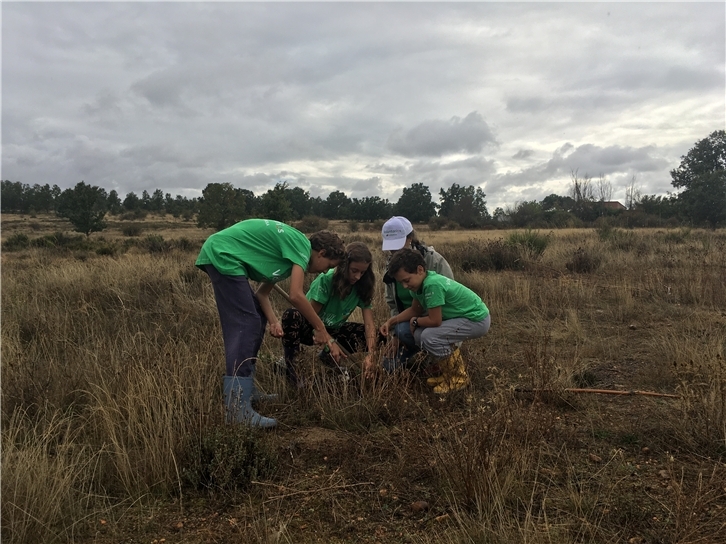 Día Internacional del Voluntariado