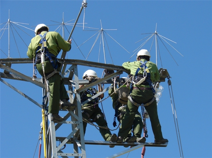 Adaptación de líneas eléctricas en zonas de protección de la avifauna