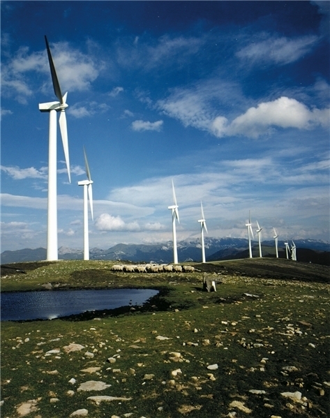 Iberdrola País Vasco Elgea