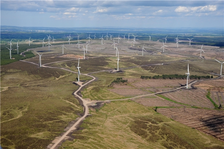 Parque eolico de Whitelee (Escocia)