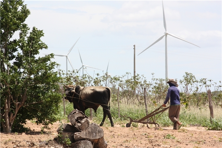 Parque eólico Iberdrola Brasil, Los Calangos