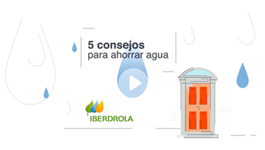 Use water responsibly: don't waste it