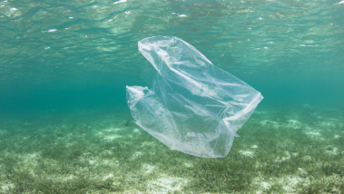 Las islas de plástico que contaminan nuestros océanos