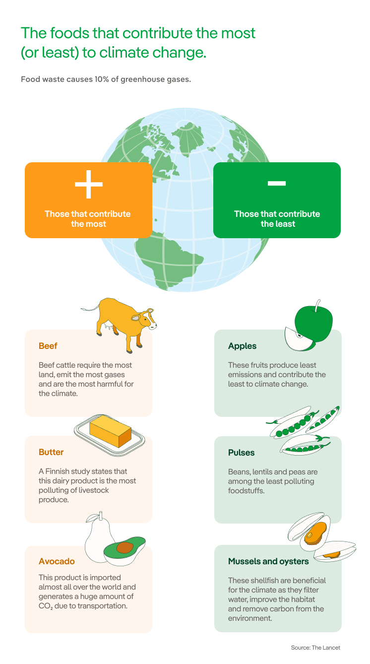 Food Waste and its consequences on Climate Crisis - Iberdrola