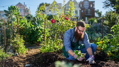 What Is An Urban Garden And How To Make One Iberdrola