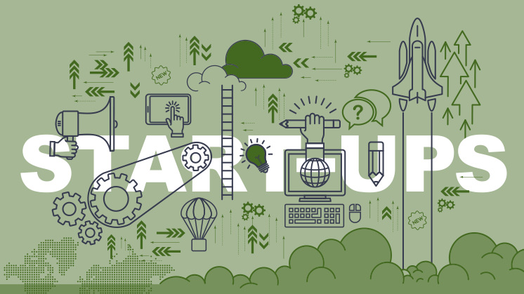 What Are Startups Or Emerging Companies And How Do They Work Iberdrola