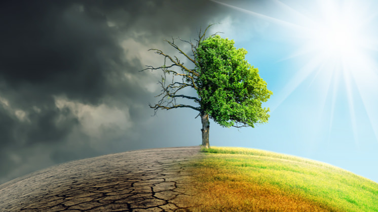 Todo Sobre La Mitigación Y Adaptación Al Cambio Climático Iberdrola