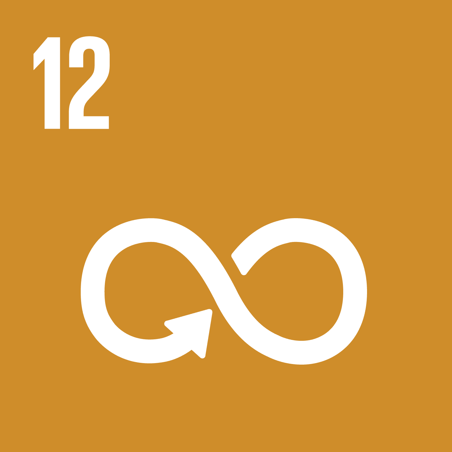 SDG 12. Responsible consumption and production.