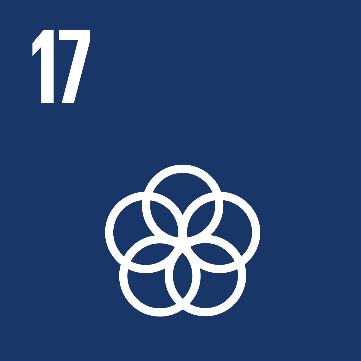 SDG 17. Partnerships for the goals.