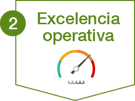 Excelencia operativa