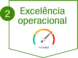 Excelência operacional