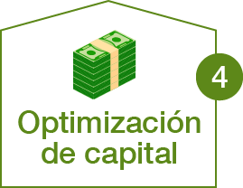 Optimización de capital