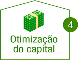 Optimização do capital