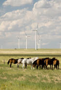 Blog We Love Renewables.