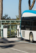 Bus.