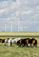 Transición energética.