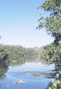 Portugal.