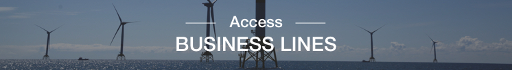 Access Business lines.