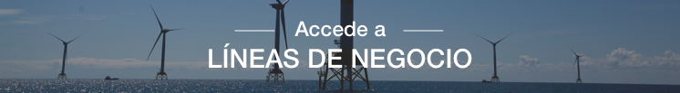 Accede a LÃneas de negocio.