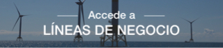 Accede a LÃneas de negocio.