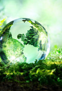 European Green Deal.