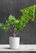 Green recovery measures.