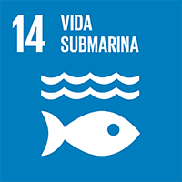 Vida submarina.
