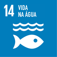 Vida na água.