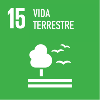 Vida terrestre.