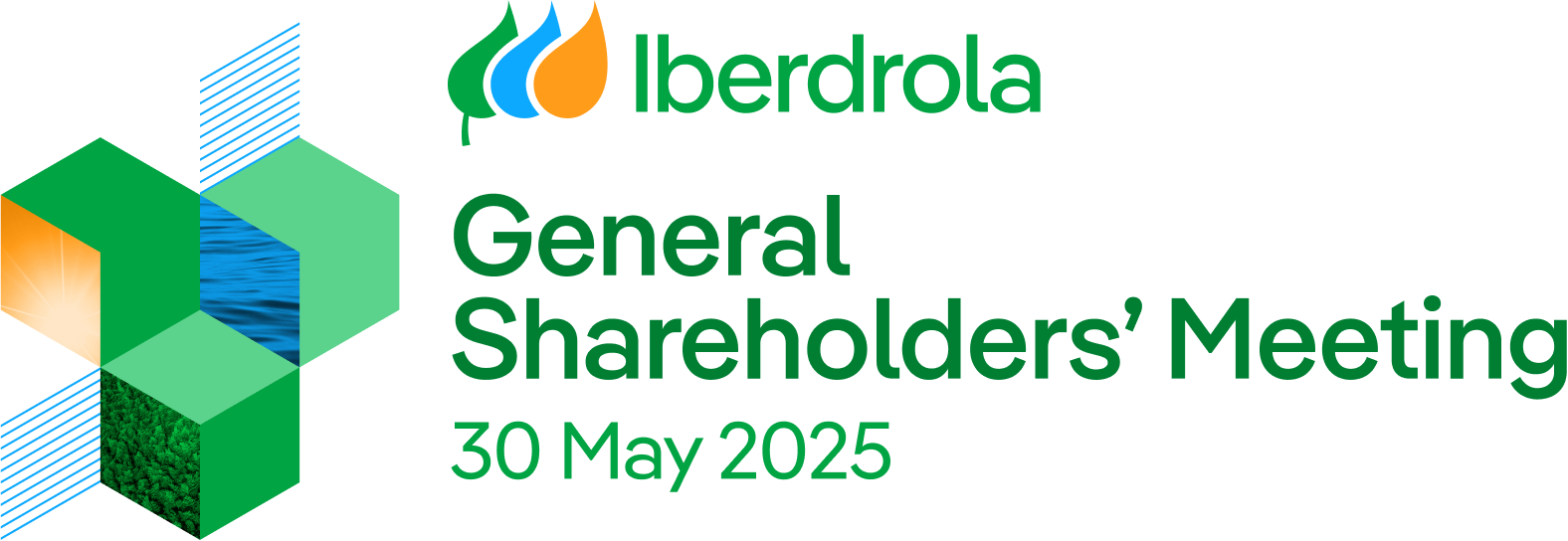 General Shareholders' Meeting