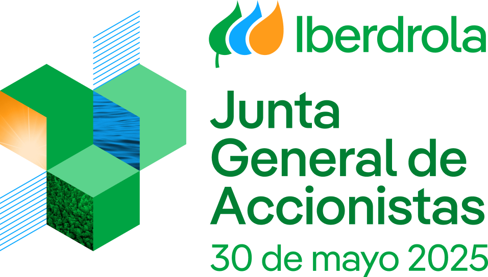 Junta General de Accionistas 25