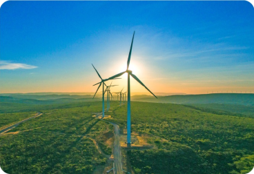 Windmills in a green meadow