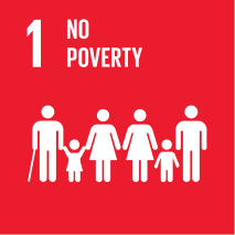 No poverty