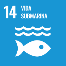 Vida submarina