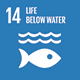 SDG 14